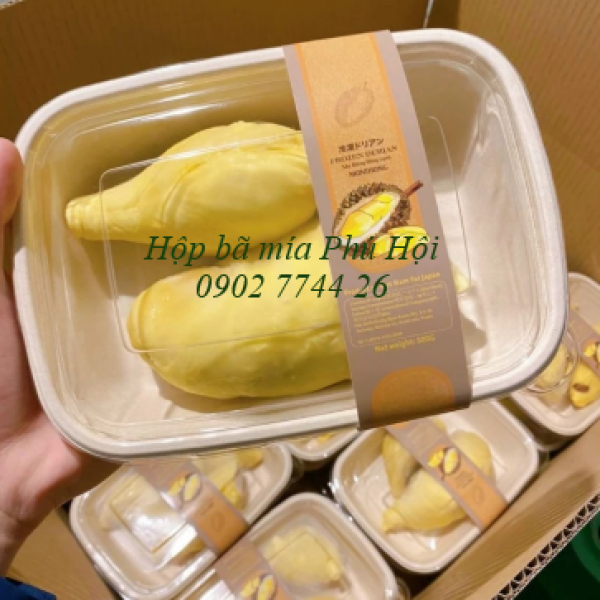 Hộp bã mía 1 ngăn to nắp nhựa PET 850ml
